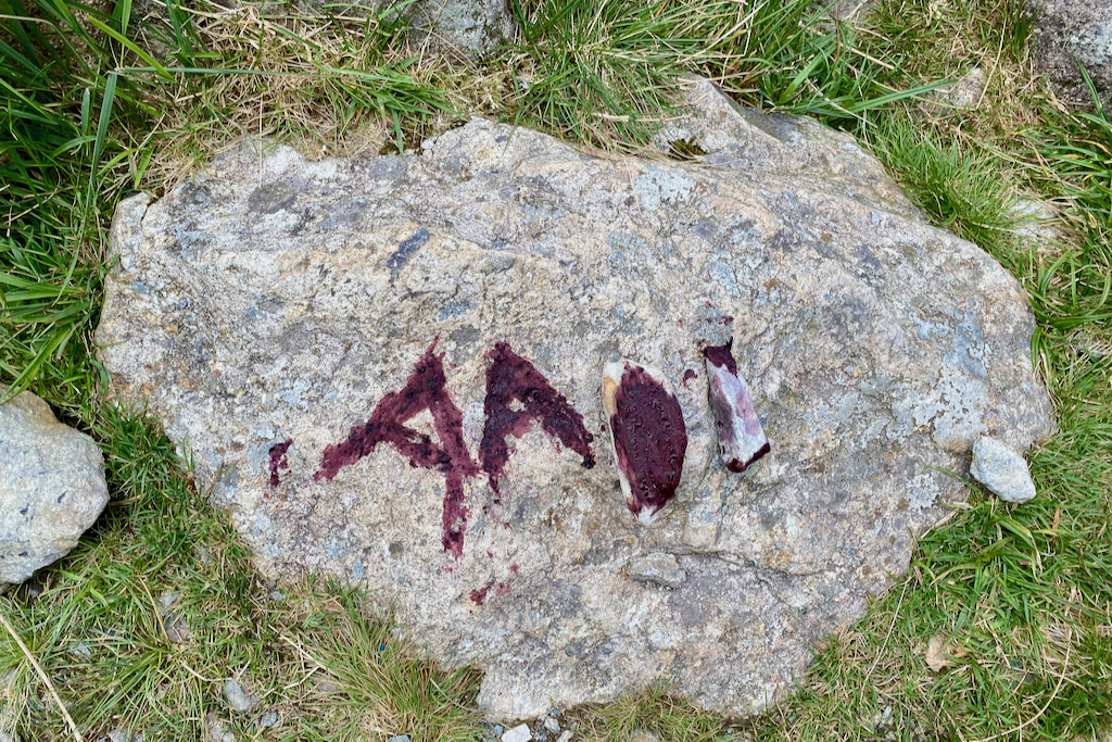 Mark-making with bilberry paint