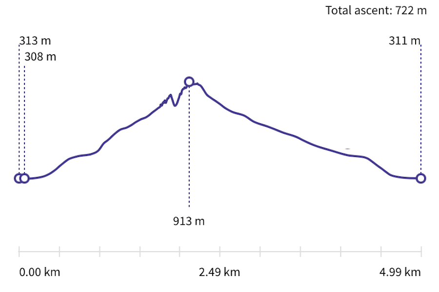 Overlapping Ridge Route - Elevation Gain